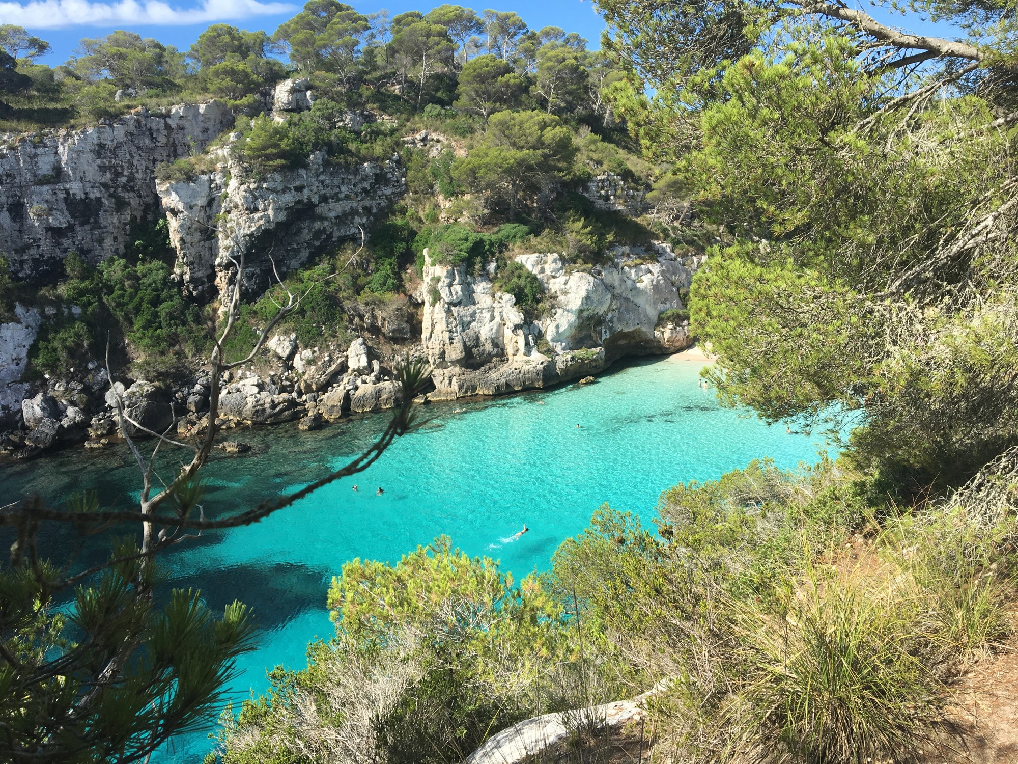 Eine türkisfarbene Bucht zwischen Klippen und Pinien auf Menorca